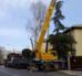 Alquiler de Camión Grúa (Truck crane) / Grúa Automática Freightliner/Effer, Capacidad 12 Tons a 2 mts. Boom extendido verticalmente 14,4 mts 1.540 kilos. en Maule, Maule, Chile